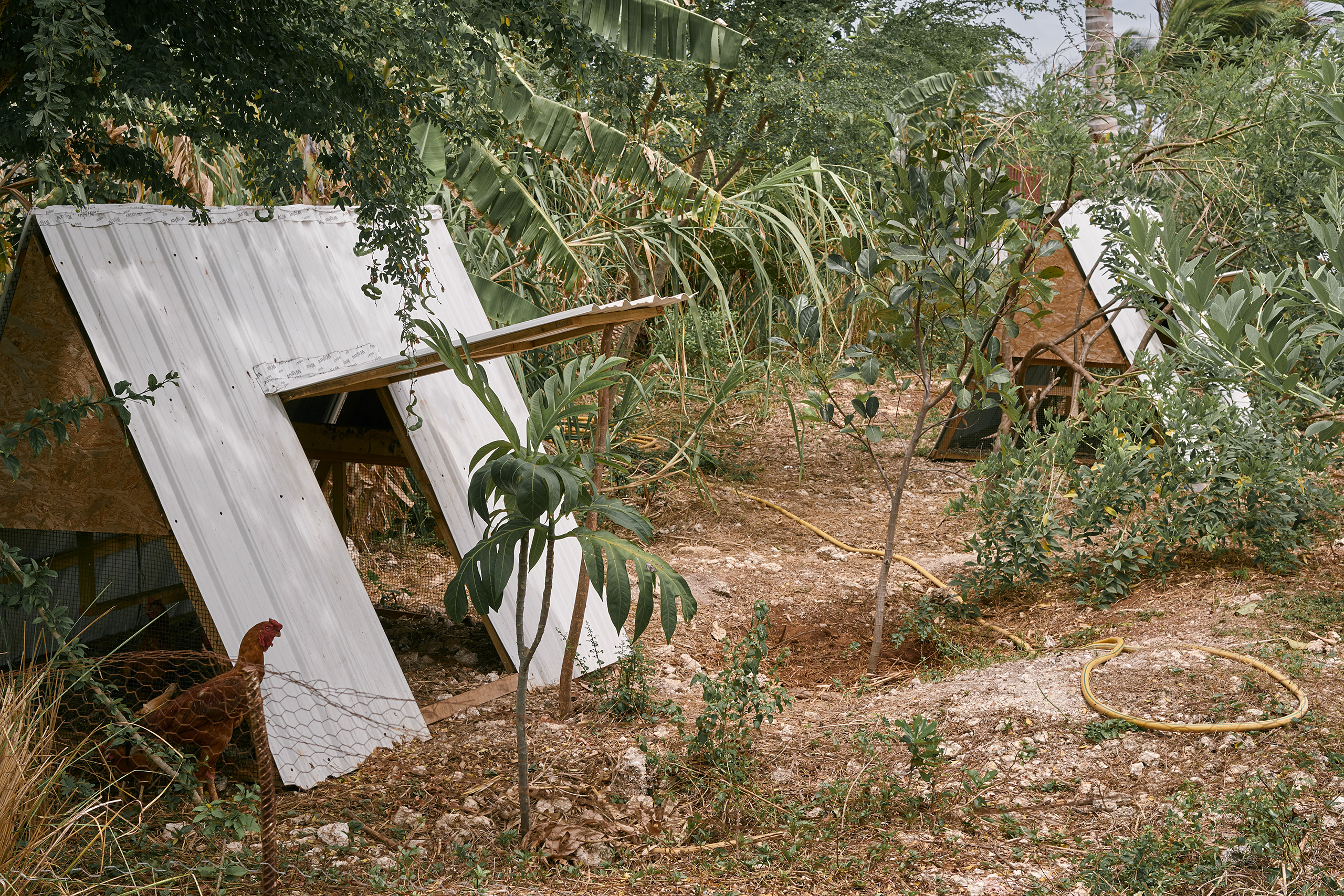 Kizikula, Kizimkazi, Zanzibar